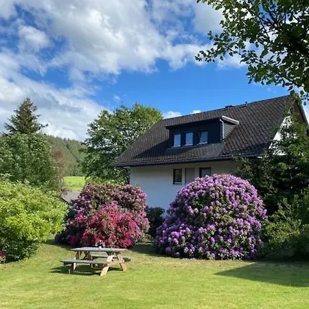 Auf Der Platte Apartment Winterberg Exterior photo