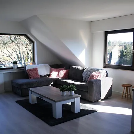 Auf Der Platte Apartment Winterberg Exterior photo